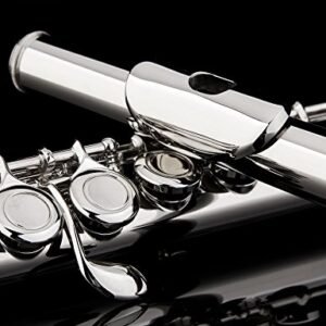 Premium Nickel Silver Closed Hole C Flute Set