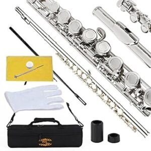 Premium Nickel Silver Closed Hole C Flute Set